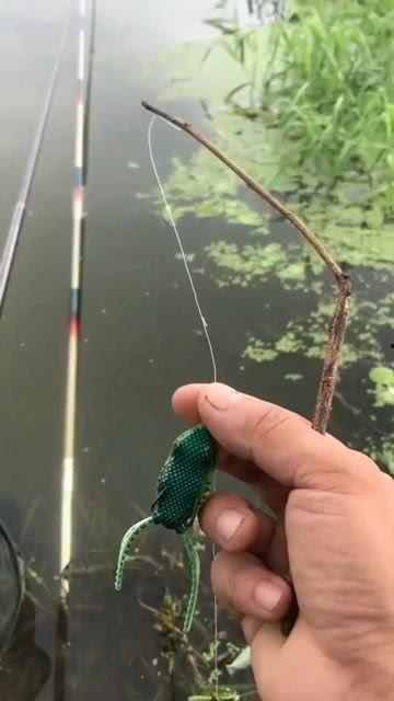 吃瓜小杆子,揭秘吃瓜小杆子的瓜界传奇