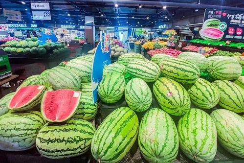 包头高雅茹吃瓜,瓜界新宠,瓜味人生