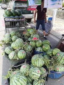 文安财神吃瓜事件,神秘事件引发网友热议