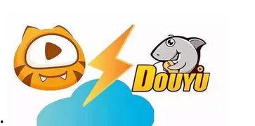 吃瓜盖热度,热度飙升的神秘事件全解析