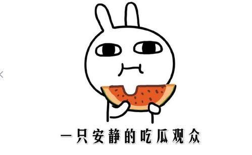 最新热门吃瓜事件,神秘恋情曝光,明星夫妻疑分手